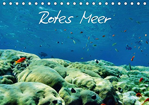 Rotes Meer (Tischkalender 2017 DIN A5 quer): Kalender mit Motiven aus dem Roten Meer (Monatskalender, 14 Seiten ) (CALVENDO Tiere) Photography
