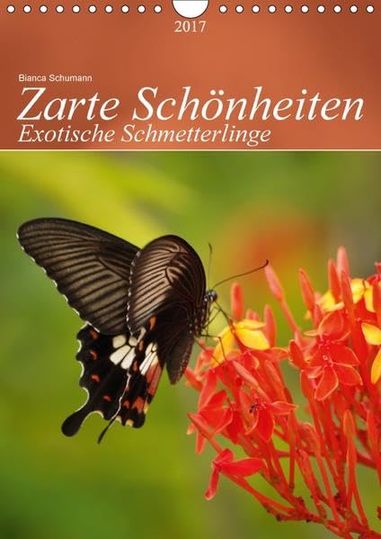 Zarte Schönheiten Exotische Schmetterlinge / Planer (Wandkalender 2017 DIN A4 hoch): Tropische Schmetterlinge in natürlicher Umgebung (Planer, 14 Seiten ) (CALVENDO Tiere) Living & Furnishing