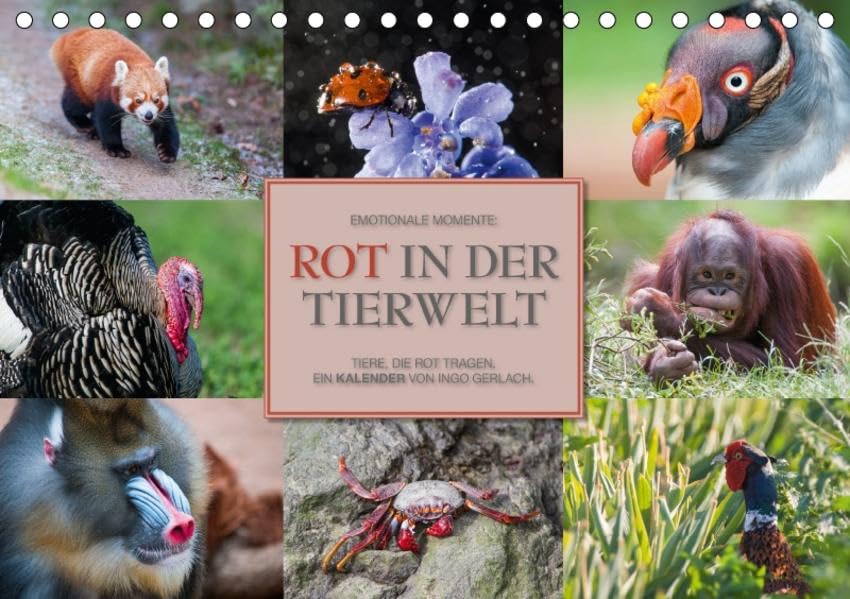 Emotionale Momente: Rot in der Tierwelt / CH-Version (Tischkalender 2017 DIN A5 quer): Tiere, die Rot tragen. Ein Kalender von Ingo Gerlach. (Monatskalender, 14 Seiten ) (CALVENDO Tiere) Film, Art & Culture
