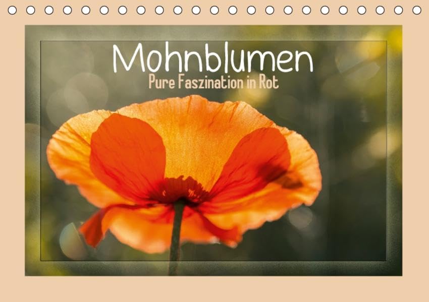 Mohnblumen – Pure Faszination in Rot (Tischkalender 2017 DIN A5 quer): Zauberhafte Mohnblütenbilder begleiten sich durch das Jahr. (Monatskalender, 14 Seiten ) (CALVENDO Natur) Leisure, Home & Garden