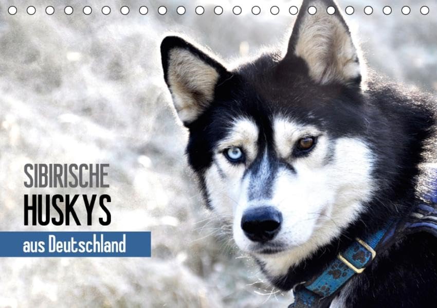 Sibirische Huskys aus Deutschland (Tischkalender 2017 DIN A5 quer): 17 Huskys auf der Schwäbischen Alb! (Monatskalender, 14 Seiten ) (CALVENDO Tiere) Leisure, Home & Garden