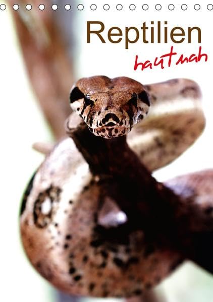 Reptilien hautnah (Tischkalender 2017 DIN A5 hoch): Die faszinierende Welt der urzeitlichen Artgenossen (Monatskalender, 14 Seiten ) (CALVENDO Tiere) Film, Art & Culture