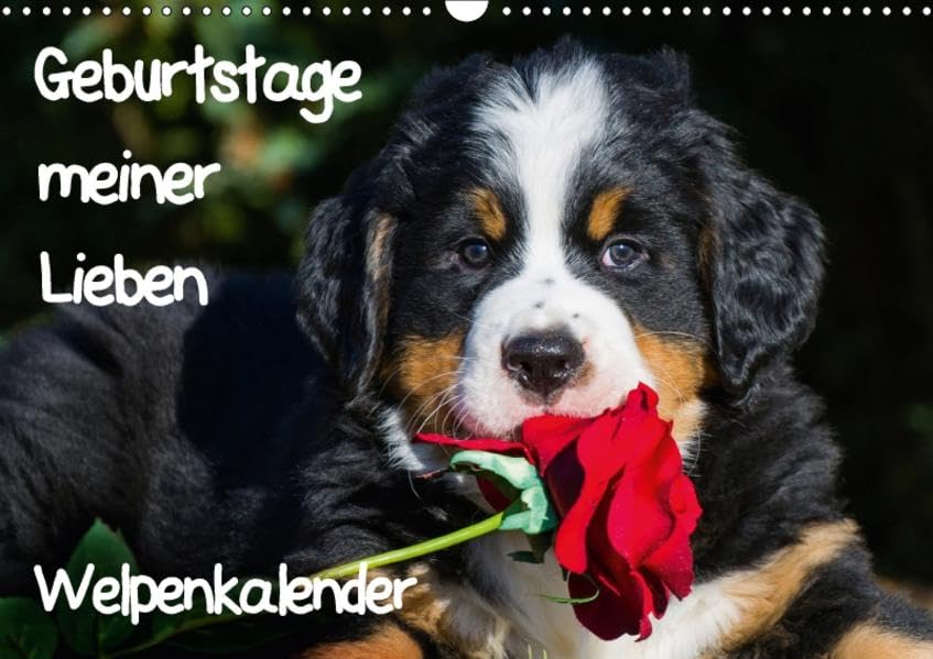 Geburtstage meiner Lieben - Welpenkalender (Wandkalender 2017 DIN A3 quer): Reizende Welpen erinnern uns an die Geburtstage unserer Lieben (Geburtstagskalender, 14 Seiten ) book