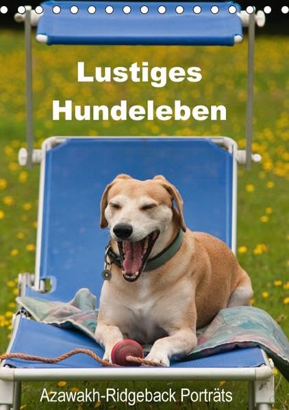 Lustiges Hundeleben - Azawakh Ridgeback Porträts (Tischkalender 2017 DIN A5 hoch): Bezaubernde Porträts eines wunderschönen Hundes (Monatskalender, 14 Seiten ) (CALVENDO Tiere) Photography