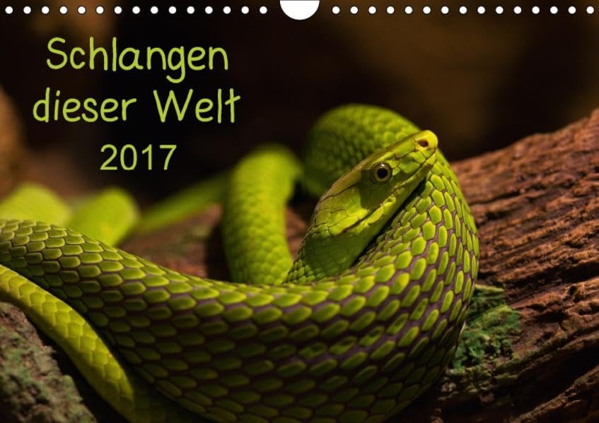 Schlangen dieser WeltAT-Version (Wandkalender 2017 DIN A4 quer): Aufregende Bilder von Schlangen dieser Welt (Monatskalender, 14 Seiten ) (CALVENDO Tiere) Contemporary literature Books