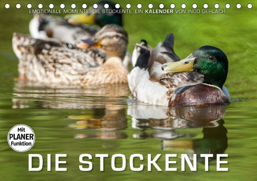 Emotionale Momente: Die Stockente. (Tischkalender 2017 DIN A5 quer): Ingo Gerlach hat tolle Bilder von der Stockente gemacht. (Geburtstagskalender, 14 Seiten ) (CALVENDO Tiere) Natural Sciences