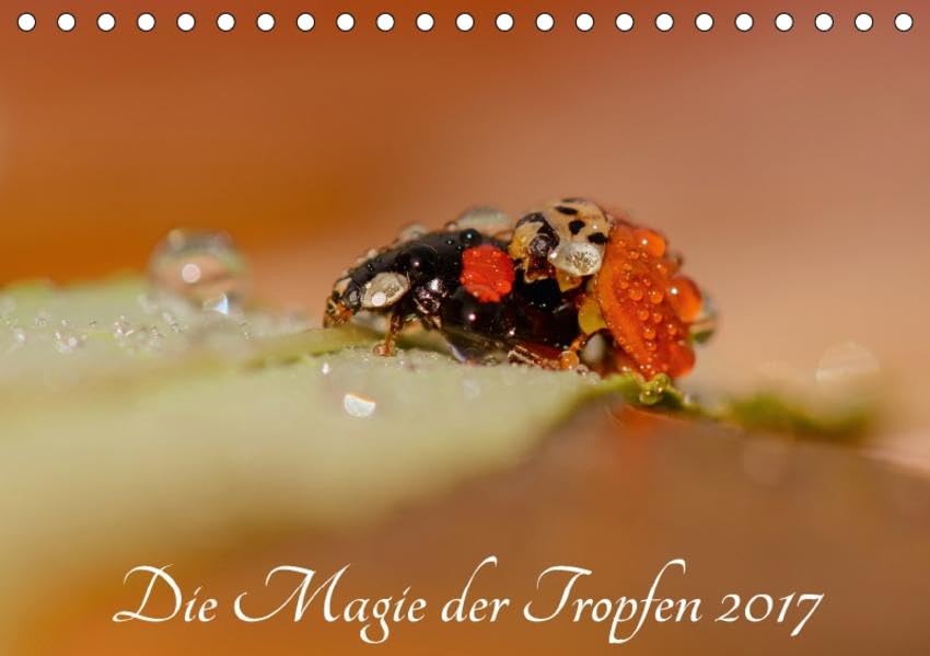 Die Magie der Tropfen 2017 (Tischkalender 2017 DIN A5 quer): Die magische Welt der Insekten mit den glitzernden Wasserperlen. (Monatskalender, 14 Seiten ) (CALVENDO Tiere) Leisure, Home & Garden