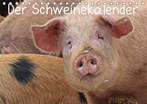 Der Schweinekalender (Tischkalender 2017 DIN A5 quer): Glückliche Schweine in artgerechter Haltung, sowohl verschiedene alte Hausschweinrassen als ... (Monatskalender, 14 Seiten ) (CALVENDO Tiere) Film, Art & Culture
