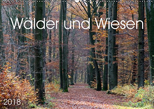 Wälder und Wiesen (Wandkalender 2018 DIN A2 quer): Blumenwiesen und Wälder (Monatskalender, 14 Seiten ) (CALVENDO Natur) SchnelleWelten, k.A. Film, Art & Culture