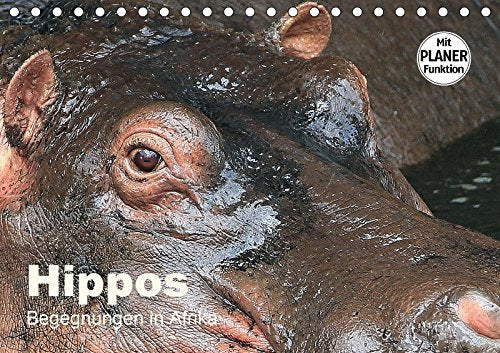 Hippos - Begegnungen in Afrika (Tischkalender 2018 DIN A5 quer): Wundervolle Bilder aus der Welt der Flusspferde (Geburtstagskalender, 14 Seiten ) ... Herzog, Michael Leisure, Home & Garden