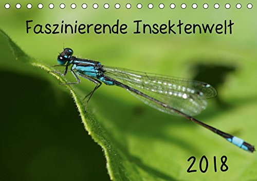 Faszinierende Insektenwelt (Tischkalender 2018 DIN A5 quer): Faszinierende Makrofotografien von heimischen Insekten, z.B. unser beliebter Marienkäfer ... Tiere) Grau, Anke Leisure, Home & Garden