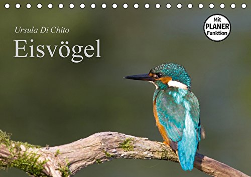 Eisvögel (Tischkalender 2018 DIN A5 quer): Ein Planer mit schönen Aufnahmen von Eisvögeln (Geburtstagskalender, 14 Seiten ) (CALVENDO Tiere) Di Chito, Ursula Leisure, Home & Garden