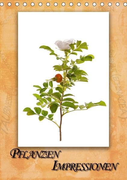 Pflanzen Impressionen (Tischkalender 2018 DIN A5 hoch): 13 Motive von Pflanzen auf weißem Hintergrund (Monatskalender, 14 Seiten ) (CALVENDO Natur) Leisure, Home & Garden