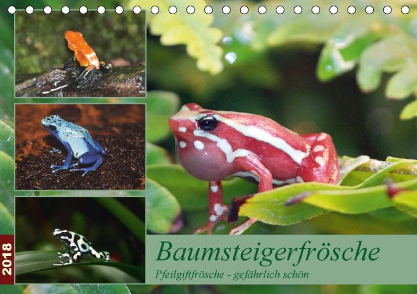 Baumsteigerfrösche. Pfeilgiftfrösche - gefährlich schön (Tischkalender 2018 DIN A5 quer): Die herrlichen und todbringenden Pfeilgiftfrösche haben ... ... Barbara Mielewczyk Film, Art & Culture