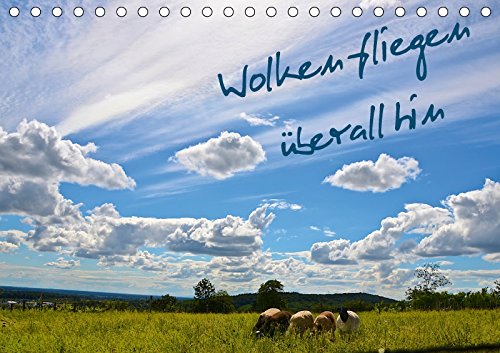 Wolken fliegen überall hin (Tischkalender 2018 DIN A5 quer): Einzigartige Wolkenbilder aus Kanada Niederlande und Deutschland (Monatskalender, 14 ... Drews, Marianne Leisure, Home & Garden