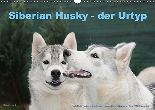 Siberian Husky - der Urtyp (Wandkalender 2018 DIN A3 quer): Eine Bilderauswahl aus der Husky Zucht ...Siberians of Savannah Town (Monatskalender, 14 ... Ebardt, Michael Natural Sciences