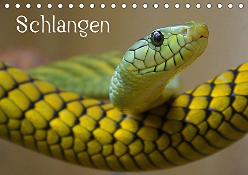 Schlangen (Tischkalender 2018 DIN A5 quer): Giftige und ungiftige Schlangen in beeindruckenden Farben (Monatskalender, 14 Seiten ) (CALVENDO Tiere) Stanzer, Elisabeth Living & Furnishing