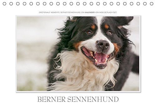Emotionale Momente: Berner Sennenhund. / CH-Version (Tischkalender 2018 DIN A5 quer): Ingo Gerlach GDT hat wunderschöne Bilder des Berner Sennenhundes ... Gerlach GDT, Ingo Calendars