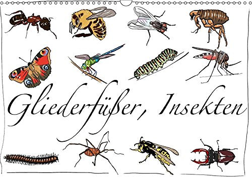 Gliederfüßer und Insekten (Wandkalender 2018 DIN A3 quer): Tierzeichnungen (Monatskalender, 14 Seiten ) (CALVENDO Tiere) Conrad, Ralf Leisure, Home & Garden