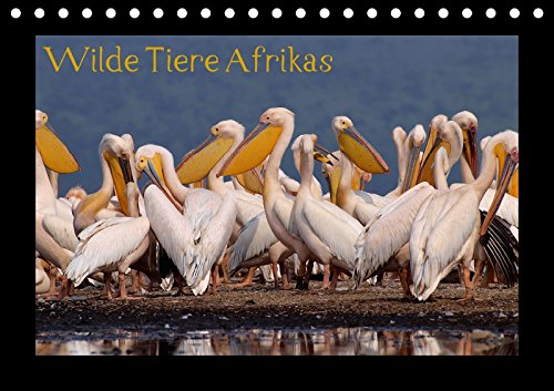 Wilde Tiere Afrikas (Tischkalender 2018 DIN A5 quer): Wildtiere Afrikas hautnah erleben (Monatskalender, 14 Seiten ) (CALVENDO Tiere) Depner, Uta Photography
