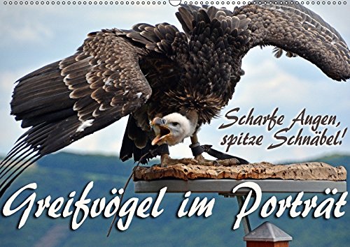 Scharfe Augen, spitze Schnäbel! Greifvögel im Porträt (Wandkalender 2018 DIN A2 quer): Majestätische Greifvögel in Nahaufnahme (Monatskalender, 14 ... Reiter, Monika Photography