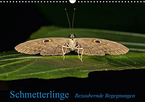 Schmetterlinge - Bezaubernde BegegnungenCH-Version (Wandkalender 2018 DIN A3 quer): Tropische Schmetterlinge ganz nah. (Monatskalender, 14 Seiten ) ... Tiere) Ribi, Alex Photography