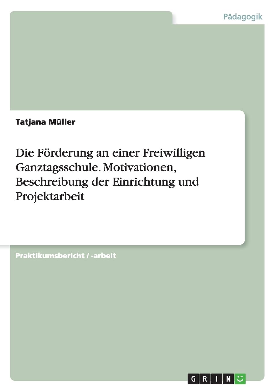 Die Förderung an einer Freiwilligen Ganztagsschule. Motivationen, Beschreibung der Einrichtung und Projektarbeit Study Guides