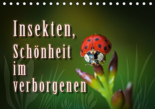 Insekten, Schönheit im verborgenen (Tischkalender 2018 DIN A5 quer): Insekten in ihrer Schönheit einmal ganz groß gezeigt (Monatskalender, 14 Seiten ) ... Gödecke, Dieter Natural Sciences