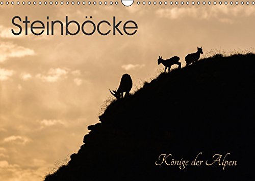 Steinböcke - Könige der Alpen (Wandkalender 2018 DIN A3 quer): Stolze Steinböcke in ihrem natürlichen Lebensraum (Monatskalender, 14 Seiten ) ... Weber - tiefblicke.ch, Mel Photography