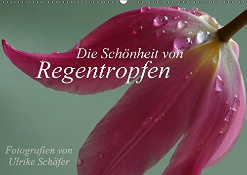 Die Schönheit von Regentropfen (Wandkalender 2018 DIN A2 quer): Stimmungsvolle und detailreiche Makrofotografien von kleinen Schmuckstücken der Natur ... Schäfer, Ulrike Lifestyle