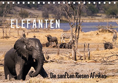 Elefanten - Die sanften Riesen Afrikas (Tischkalender 2018 DIN A5 quer): Fotografiert in den Nationalparks Chobe, Addo und Hwange (Monatskalender, 14 ... Pavlowsky Photography, Markus Business & Technology