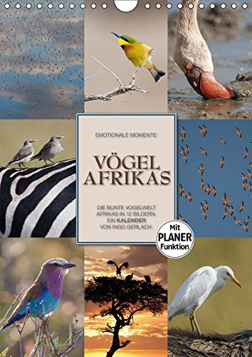 Emotionale Momente: Vögel Afrikas (Wandkalender 2018 DIN A4 hoch): Die bunte Vogelwelt Afrikas in 12 Bildern. Ein Planer von Ingo Gerlach. (Planer, 14 ... Gerlach GDT, Ingo Film, Art & Culture