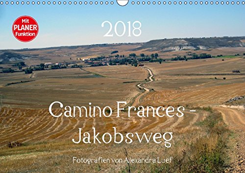 Camino Frances - JakobswegAT-Version (Wandkalender 2018 DIN A3 quer): Unterwegs am Jakobsweg von St. Jean-Pied-de-Port nach Santiago de Compostela ... Luef, Alexandra Leisure, Home & Garden