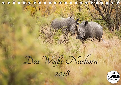 Das Weiße Nashorn (Tischkalender 2018 DIN A5 quer): Das Breitmaulnashorn, auch Weißes Nashorn genannt, ist eines unserer größten Landsäugetiere und ... und Holger Karius, ©Kirsten Leisure, Home & Garden