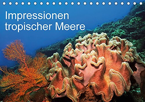 Impressionen tropischer Meere (Tischkalender 2018 DIN A5 quer): Die faszinierende Unterwasserwelt tropischer Meere (Monatskalender, 14 Seiten ) ... Rauchenwald, Martin Photography