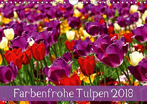Farbenfrohe Tulpen 2018 (Wandkalender 2018 DIN A4 quer): Die Schönheit der Blumen in rauschenden Farben. (Monatskalender, 14 Seiten ) (CALVENDO Natur) Vartzbed, Klaus Leisure, Home & Garden