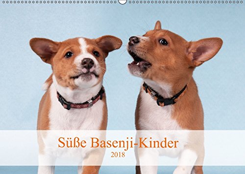 Süße Basenji-Kinder (Wandkalender 2018 DIN A2 quer): Entzückende Basenji-Welpen, Monat für Monat (Monatskalender, 14 Seiten ) (CALVENDO Tiere) Photography