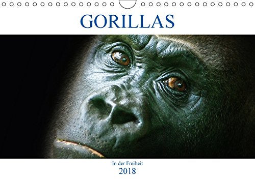 Gorillas - In der Freiheit (Wandkalender 2018 DIN A4 quer): Gorillas - die sanften Riesen (Monatskalender, 14 Seiten ) (CALVENDO Tiere) Photography