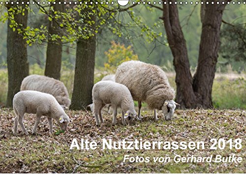 Alte Nutztierrassen 2018 (Wandkalender 2018 DIN A3 quer): Fotos von alten Nutztierrassen, die selten und absolut schützenswert sind. (Monatskalender, 14 Seiten ) (CALVENDO Tiere) Film, Art & Culture