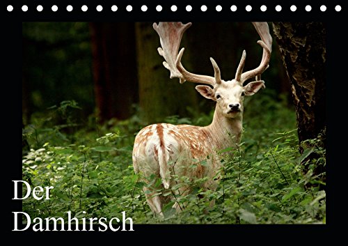 Der Damhirsch (Tischkalender 2019 DIN A5 quer): Heute ist die Art in ganz Europa verteilt. (Monatskalender, 14 Seiten ) (CALVENDO Tiere) Contemporary literature Books