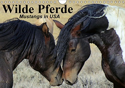 Wilde Pferde • Mustangs in USA (Wandkalender 2019 DIN A4 quer): Die Mustangs der USA in Wyoming und Utah (Monatskalender, 14 Seiten ) (CALVENDO Tiere) Contemporary literature