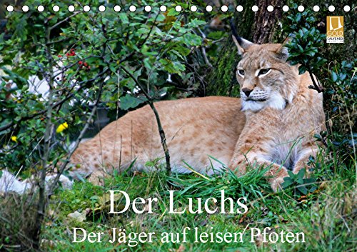 Der Luchs - Der Jäger auf leisen Pfoten (Tischkalender 2019 DIN A5 quer): Die Katze mit den Pinselohren. (Monatskalender, 14 Seiten ) (CALVENDO Tiere) Social Sciences