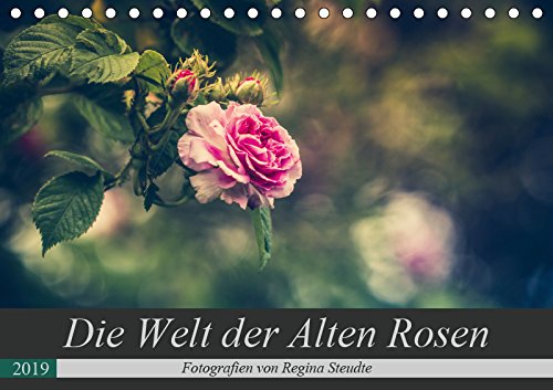 Die Welt der Alten Rosen (Tischkalender 2019 DIN A5 quer): Malerische Fotografien von alten Rosensorten. (Monatskalender, 14 Seiten ) (CALVENDO Natur) Film, Art & Culture