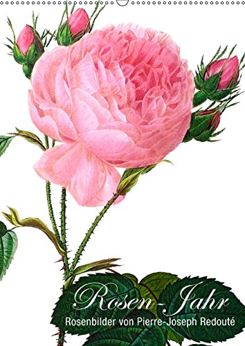 Rosen-Jahr (Wandkalender 2019 DIN A2 hoch): Rosenbilder von Pierre-Joseph Redouté (Monatskalender, 14 Seiten ) (CALVENDO Natur) Leisure, Home & Garden