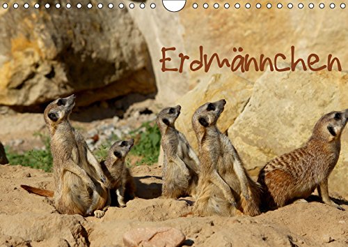 Erdmännchen (Wandkalender 2019 DIN A4 quer): Eine putzige Erdmännchenfamilie (Monatskalender, 14 Seiten ) (CALVENDO Tiere) Contemporary literature