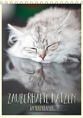Zauberhafte Katzen - Familienplaner (Tischkalender 2019 DIN A5 hoch): Süße Samtpfoten begleiten Sie durchs Jahr (Familienplaner, 14 Seiten ) (CALVENDO Tiere) Pets