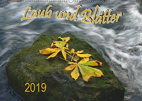 Laub und Blätter 2019 (Wandkalender 2019 DIN A2 quer): Monatskalender mit 13 Bilder (Monatskalender, 14 Seiten ) (CALVENDO Natur) Leisure, Home & Garden