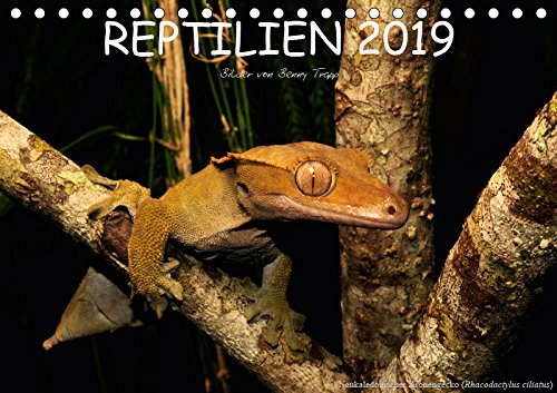 REPTILIEN (Tischkalender 2019 DIN A5 quer): Reptilien aus aller Welt (Monatskalender, 14 Seiten ) (CALVENDO Tiere) Photography