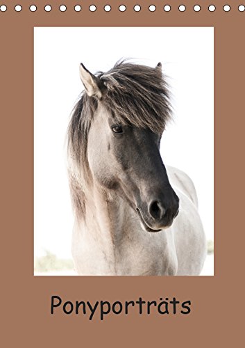 Ponyporträts (Tischkalender 2019 DIN A5 hoch): Kalender mit Porträtbildern von Ponys (Monatskalender, 14 Seiten ) (CALVENDO Tiere) Film, Art & Culture