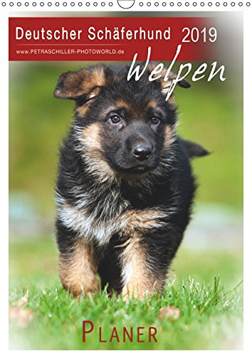Deutscher Schäferhund - Welpen, Planer (Wandkalender 2019 DIN A3 hoch): Hundewelpen... (Planer, 14 Seiten ) (CALVENDO Tiere) Photography